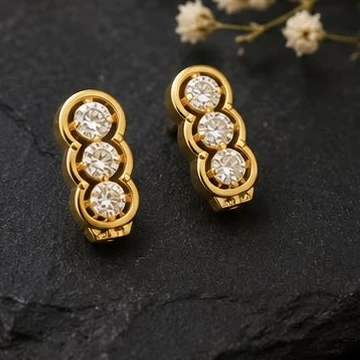 Fancy earrings