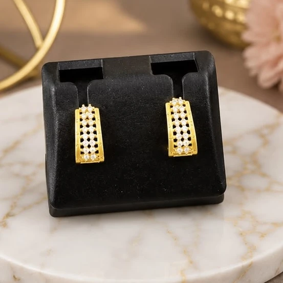 Stylish earrings