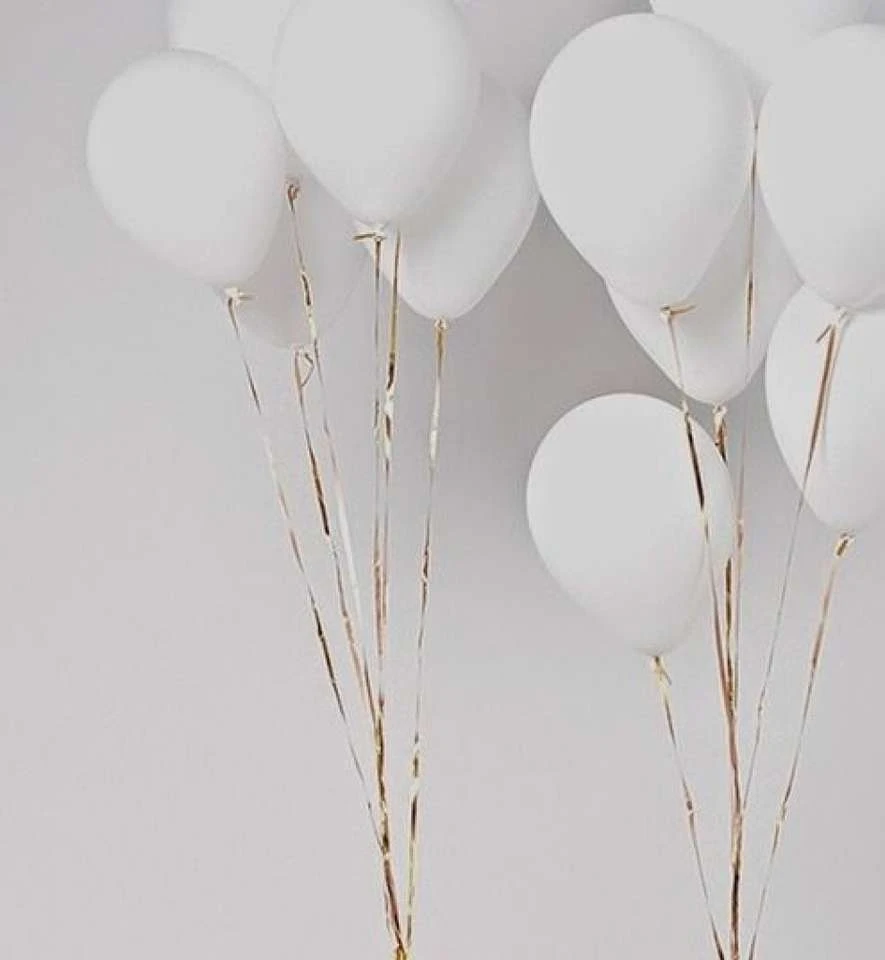 package of "Party Pal" brand balloons