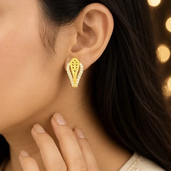 Stylish earrings