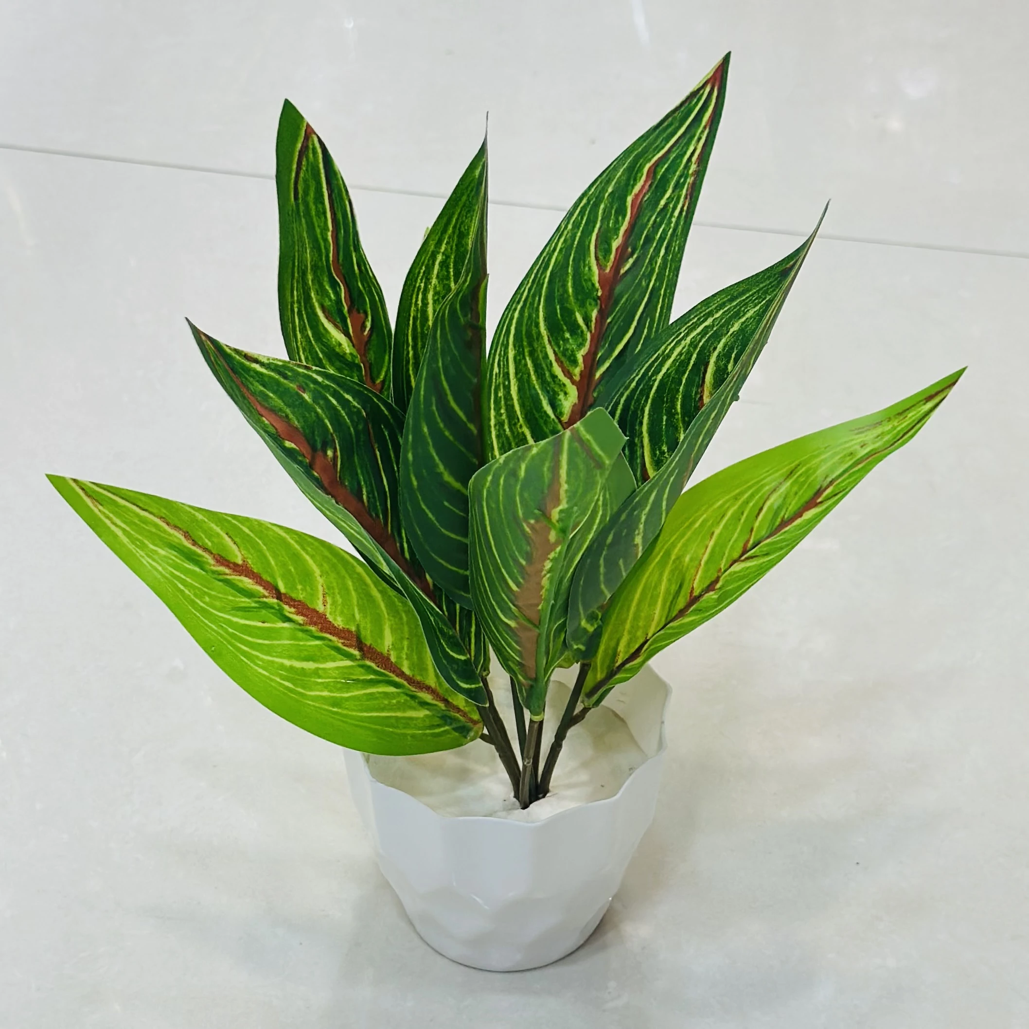 An artificial Aglaonema plant